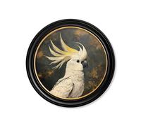 Exceptional Art The Cockatoo Pair - 70 x 70cm - Oxford Round - RF Cockatoo