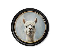 Exceptional Art The Goofy Alpaca - Oxford round frame - The Goofy Alpaca - 70 x 70cm
