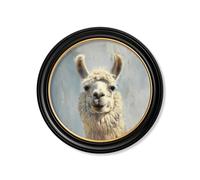 Exceptional Art The Goofy Llama - Oxford round frame - The Goofy Llama - 96 x 96cm