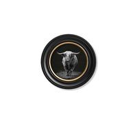 Exceptional Art Wildlife Photography - Highland Cow - Round Frame - 44 x 44cm - Oxford Round