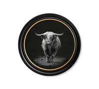 Exceptional Art Wildlife Photography - Highland Cow - Round Frame - 70 x 70cm - Oxford Round