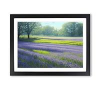 Exceptional Bluebell Field Framed Wall Art Print A2 Black
