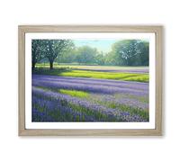 Exceptional Bluebell Field Framed Wall Art Print A2 Oak