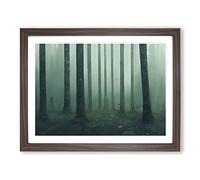 Exceptional Forest Framed Wall Art Print A2 Walnut