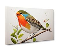 Exceptional Robin Bird Canvas Wall Art Print 30x20 Inch