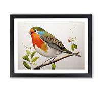 Exceptional Robin Bird Framed Wall Art Print A2 Black