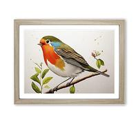 Exceptional Robin Bird Framed Wall Art Print A2 Oak