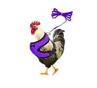 ExcLent Chicken Duck Hen Pet Harness with Matching Collar Bow - Comfortable Breathable Mesh Leash for Poultry Pets