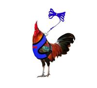 ExcLent Chicken Duck Hen Pet Harness with Matching Collar Bow - Comfortable Breathable Mesh Leash for Poultry Pets