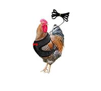 ExcLent Chicken Duck Hen Pet Harness with Matching Collar Bow - Comfortable Breathable Mesh Leash for Poultry Pets