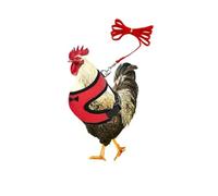 ExcLent Chicken Duck Hen Pet Harness with Matching Collar Bow - Comfortable Breathable Mesh Leash for Poultry Pets