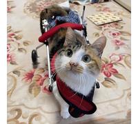 EXCLURA Dog Wheelchair Small Cat Wheelchair Cart for Back Legs, Tiny Dog Mobility Aids for Walking, Injured/Disabled Rear Leg Kitten Trolley, Restoring Mobility(SIZE M)
