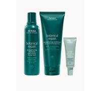 Exclusive Aveda Botanical Repair Strengthening Shampoo, Conditioner & Treatment Bundle