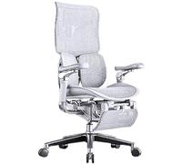 Executive Office Chair with Waist Support Breathable Mesh Backrest Adjustable Height table Home Office Seating