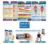Exercise and Training Essentials Posters - Set of 3 | Laminated Exercise Posters | Size - 420mm x 594mm (A2) | Prepare the Body for Physical Training and Workouts | Improves Personal Fitness