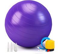 Exercise Ball 65cm 55cm 75cm, Anti-Burst Extra Thick Birthing Pregnancy Ball with Pump, Fitness Yoga Gym Balls for Adults, Exercise Balls for Labour, Stability, Pilates, Balance, Home Workout (Purple)