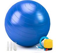 Exercise Ball 65cm 55cm 75cm, Anti-Burst Extra Thick Birthing Pregnancy Ball with Pump, Fitness Yoga Gym Balls for Adults, Exercise Balls for Labour, Stability, Pilates, Balance, Home Workout (Blue)