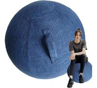 Exercise Ball Cover with Handle for Stability and Protection | Anti-Scratch Fitness Ball Accessory for Yoga, Workout, and Office Chair Use