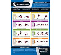 Exercise Ball | Full Core Workout | Improves Strength Training | Laminated Home & Gym Poster | FREE Online Video Training Support | Size - 841mm x 594mm (A1) | Improves Personal Fitness