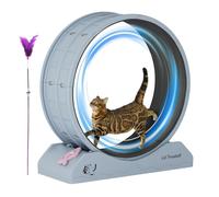 Exercise Wheel for Cats | Fitness Equipment for Kitten - Large Silent Safety Cat Wheel Exerciser, This Wheel for Indoors, Kitten Safety Treadmill