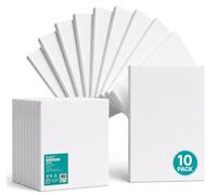 Exerz 30x40cm Pre Stretched Canvas 10 Pack 280gsm Cotton Painting A3 | 1.7cm Frame Triple Primed Acid Free Medium Grain Surface For Acrylic Oil Crafts Home Students Artist
