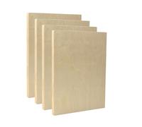 EXERZ Wooden Paint Boards 22.9x30.5cm - 4 Pack Rectangle Wooden Panels for Acrylic, Oil & Mixed Media Painting | Smooth Craft Boards for Artists, Kids & DIY Projects