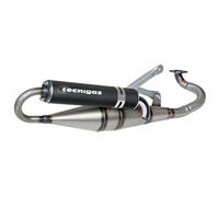 Tecnigas Next R Peugeot Force/ludix Homologated Full Line System Silver Homologated