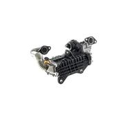 MAHLE CE43000P Exhaust Gas Recirculation Cooler 190mm Length Fits Citroën Ford