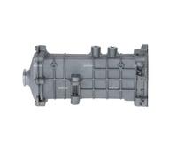 Exhaust gas cooler Stainless Steel 48002 NRF for IVECO DAILY IV Van