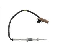 Exhaust Gas Temperature Sensor Fits RENAULT Clio III Kangoo 05-15 8200670145