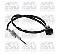 Exhaust Gas Temperature Sensor Fits SUZUKI Grand Vitara II 2 05- 14810-67J00