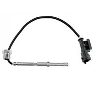 NTY EGT-DW-000 Sensor, exhaust gas temperature