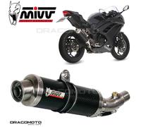 Mivv Kawasaki Ninja 300 2013 Exhaust Motorcycle Silencer Slip-On Gp Carbon