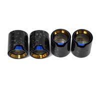 Exhaust Pipe For BMW For M2 F87 For M3 F80 For M4 F82 F83 Car Muffler Tail Pipe Upgrade Carbon Fiber Exhaust Tip Exhaust Tips Muffler(Carbon Fiber C)