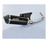 Exhaust POLINI Maxi-Scooter Vespa Spring 125 for Moto Spare Parts