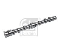 EXHAUST SIDE CAMSHAFT 176004