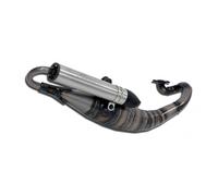 Exhaust / Sport Exhaust Giannelli Rekord with ABE for Yamaha BWS NG