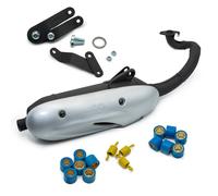 LeoVince exhaust system SITO full system, steel for Benelli 491 RR LC
