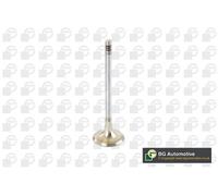 Exhaust Valve Fits BMW 3 Coupe Convertible Compact Touring 5 Touring BGA V090100