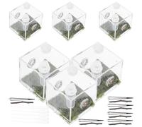 EXHUMKY 2 Sets Feeding Case Reptile Breeding Box Moisture Resistant Practical Acrylic 2.04x2.04x2.04in Spider Habitat Box for Arachnids and Tortoise