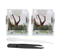 EXHUMKY 2pcs Small Spider Habitat Box Acrylic Jumping Spider Enclosure Cage with Landscape Design for Florida Jumping Breeding and Insect Keeping