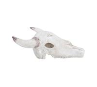 EXHUMKY Bearded Dragon Hideout Reptile Accessories Cattle Skulls Fish Tank Decor Lizard Cave