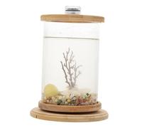 EXHUMKY Transparent Desktop Aquarium Tank with Rotating Glass Frame High-class Micro Landscape Fish Bowl for Home and Office Decor Elegant Tempered Glass Eco Bottle