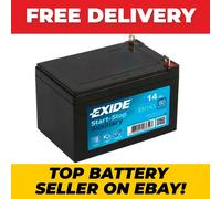Exide EK143 Start-Stop Auxiliary AGM Support and Backup Battery 12V 14Ah 80A