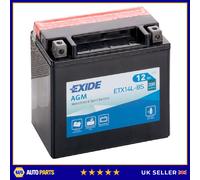 Exide ETX14L-BS 12V Motorcycle Battery YTX14L-BS Compatible