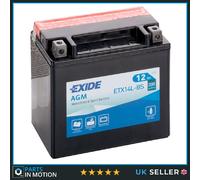 Exide ETX14L-BS 12V Motorcycle Battery YTX14L-BS Compatible