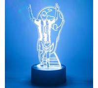 EXIGENT 3D LED Light Argentina Soccer Lamp Acrylic Illusion Night Flashing Cool (SoccerLamp_WC)