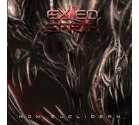 Exiled On Earth - Non Euclidean