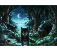 Exit Puzzle - Wolf Stories