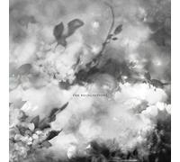 Exitmusic - The Recognitions [VINYL]